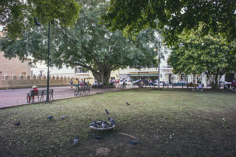 科隆公园(Columbus Park)，圣多明各殖民城中心的城市广场，经常是当地居民和游客的集合点。